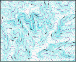 Grid based contour map