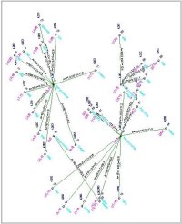 Convert survey coordinates to XYZ